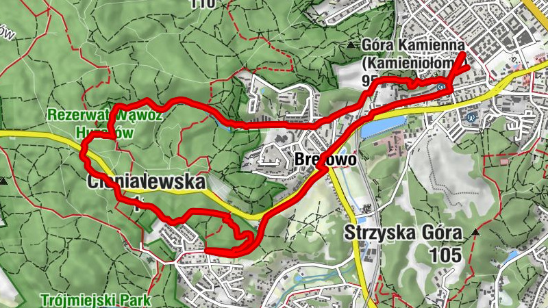 Wrzeszcz Górny - Kościół pw. Matki Bożej Nieustającej Pomocy - da Rafaelle - Zielone Wzgórze