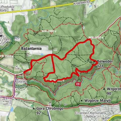 Elbląg - Bażantarnia - Belweder