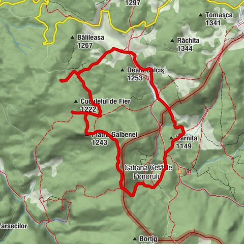 Pietroasa - Piatra Galbenei - Șaua Borțig - Varniţa