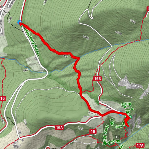 Kort