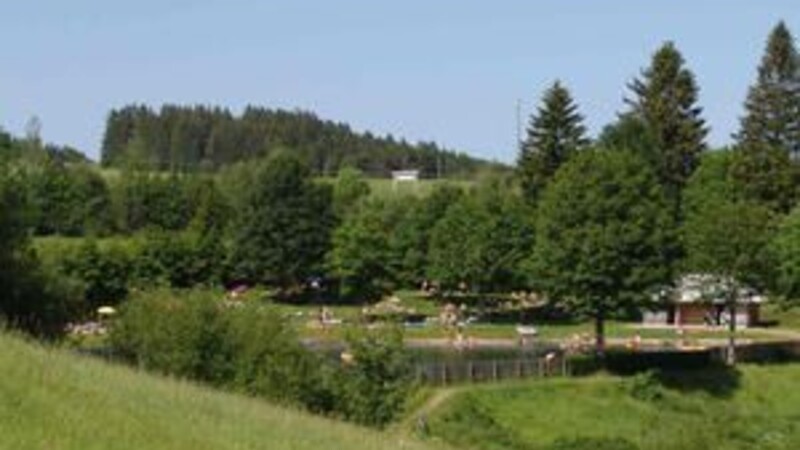 Kort