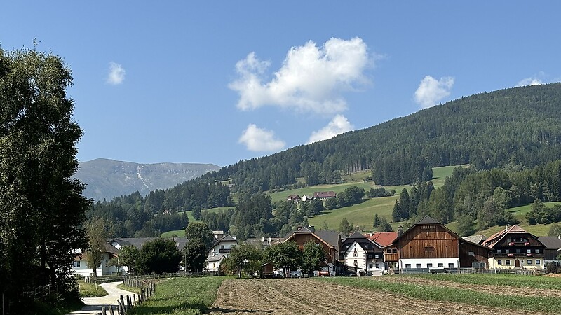 Kort