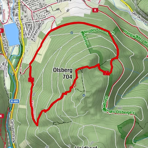 Olsberger Gipfelkreuztour (Qualitätsweg Wanderbares Deutschland) 4. Etappe Kneipp WanderWeg 