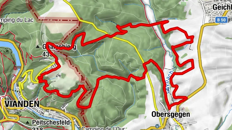 Nat'Our Route 6 - Kammerwald