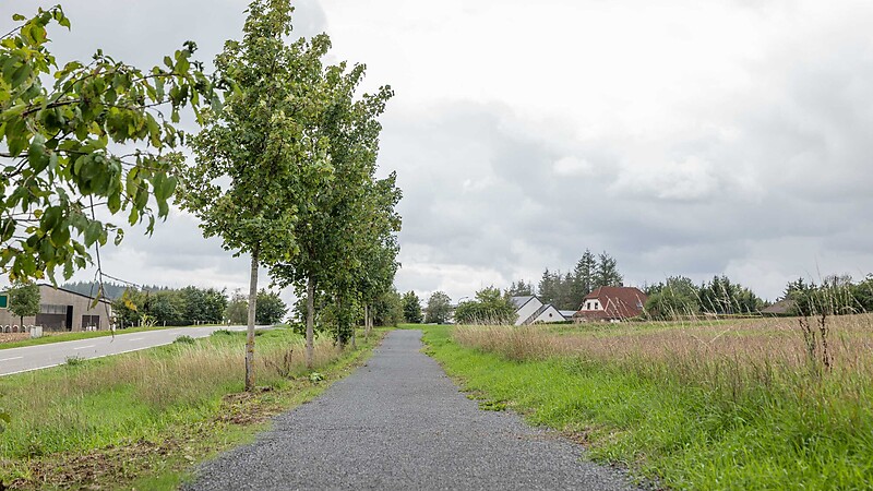 Kort