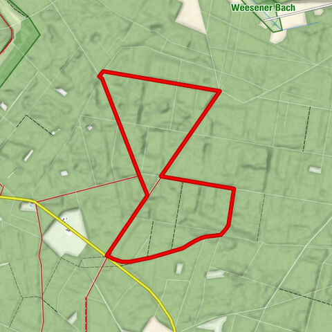 Mittlere Tour (9,4 km) Dem Förster über die Schulter geschaut