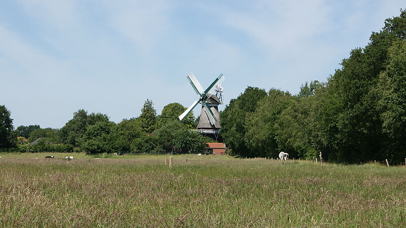 Kort
