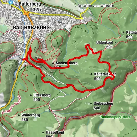 Unterwegs zu den Luchsen