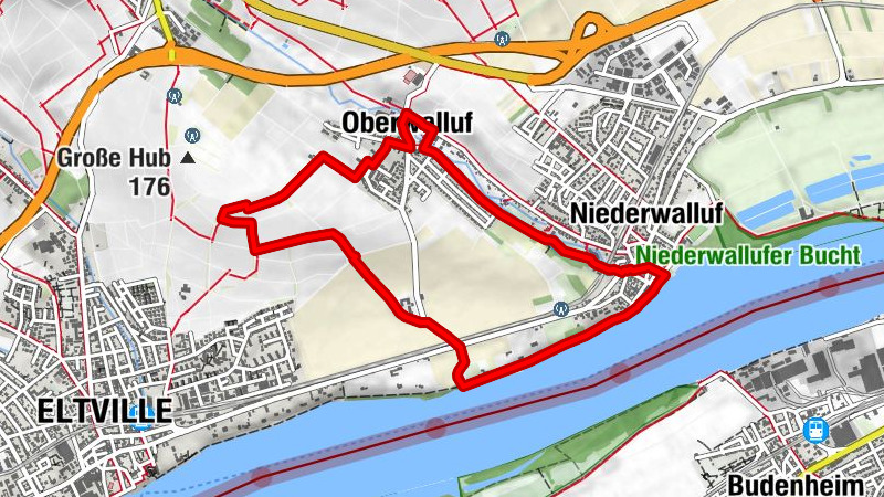 Riesling Schleife Rhein und Reben