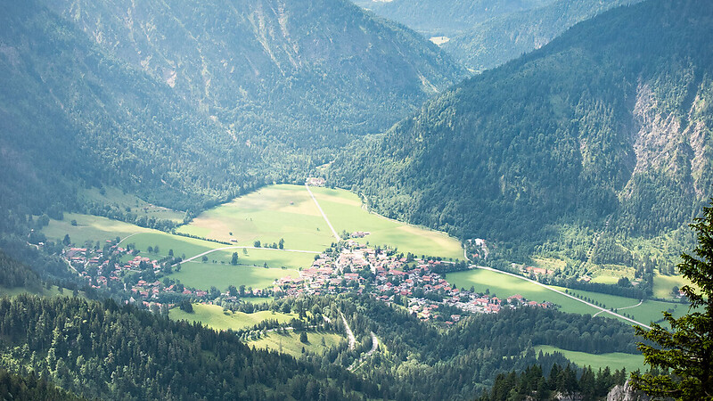 Kort