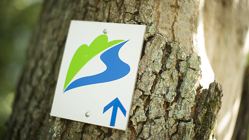 Kort