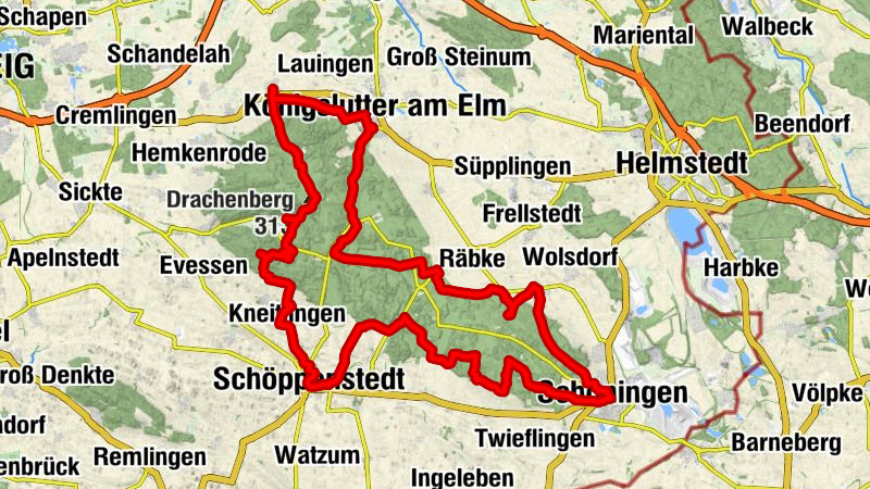 Elmkreisel