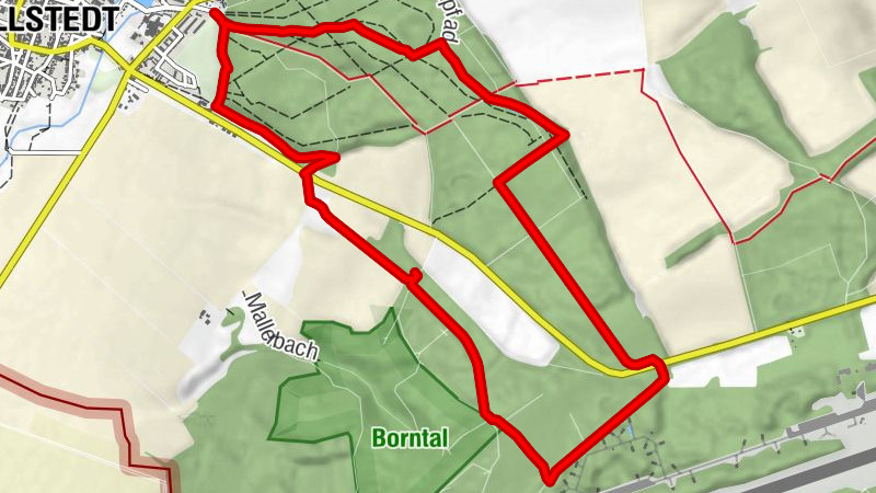 Rundwanderweg Allstedt "Straße der Romanik"