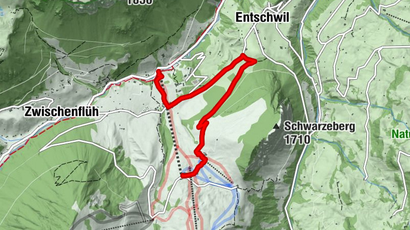 First bike educational trail at the Wiriehorn area: Alptrail