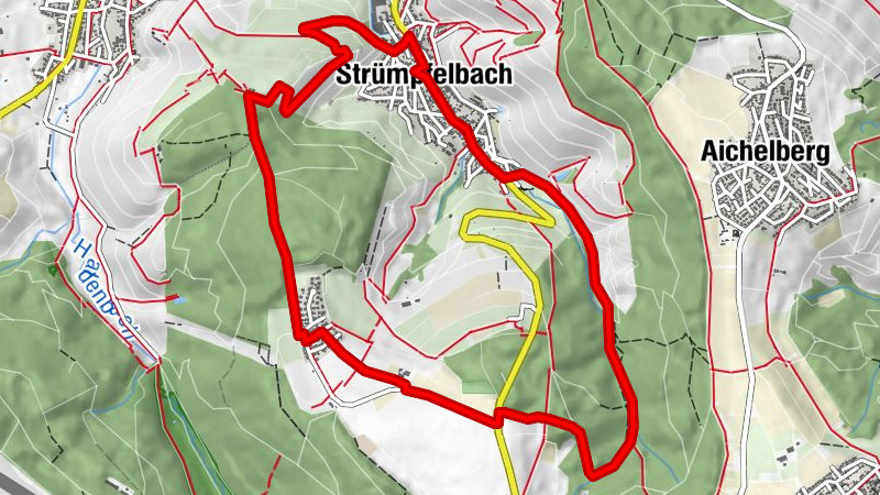 Wanderung am 3. Juli 2023