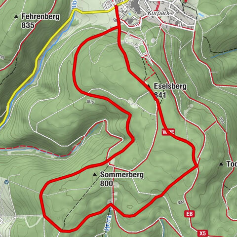 Terrain therapy trail Masserberg - TKW 4 Sommerberg/Dreiherrenstein - Thuringian Forest