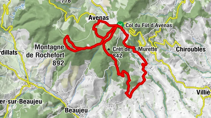 Villié-Morgon, Auvergne-Rhône-Alpes/France
