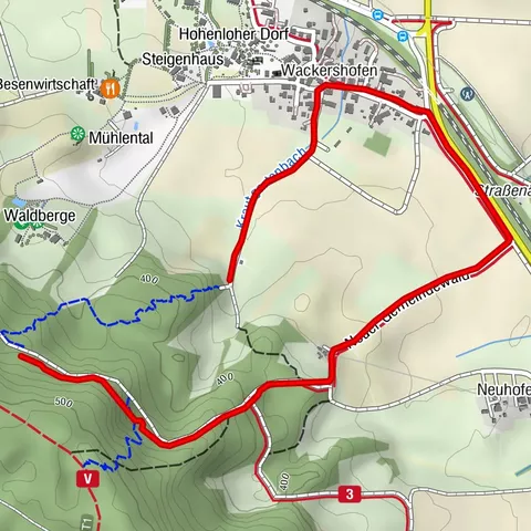 Trails im Neuen Gemeindewald: Uphill zum Einstieg in den mittleren Teil