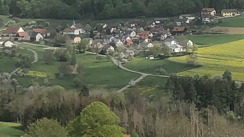 Kort
