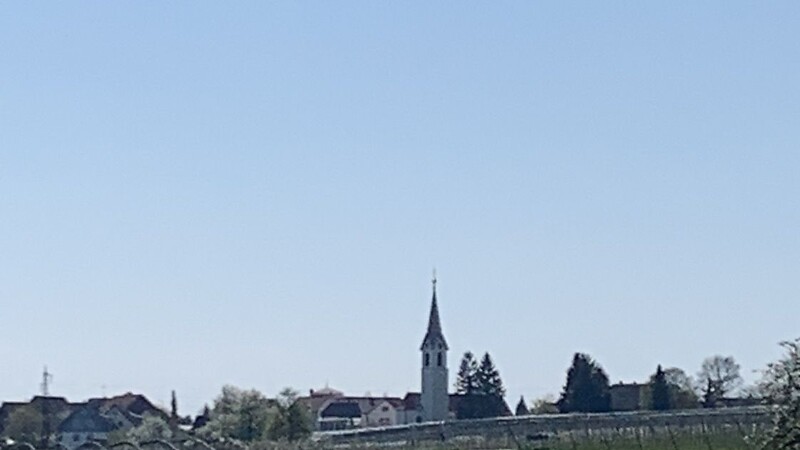 Kort