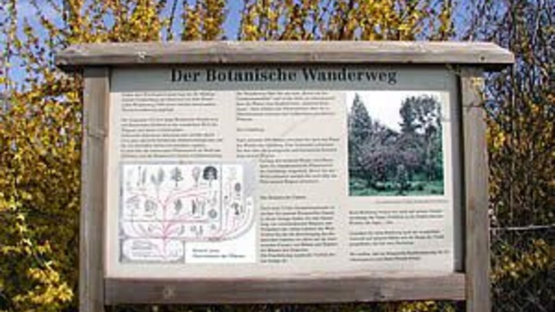 Kort