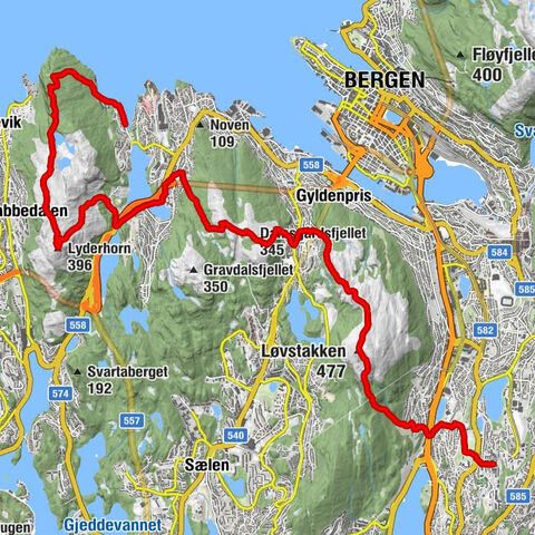 NO-Bergen: Lyderhorn-Damsgårdsfjellet-Løvstakken
