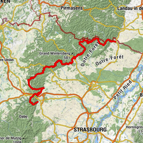 TMV® Vosges Mountains MTB trail : Wissembourg - Saverne