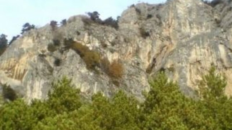 Kort