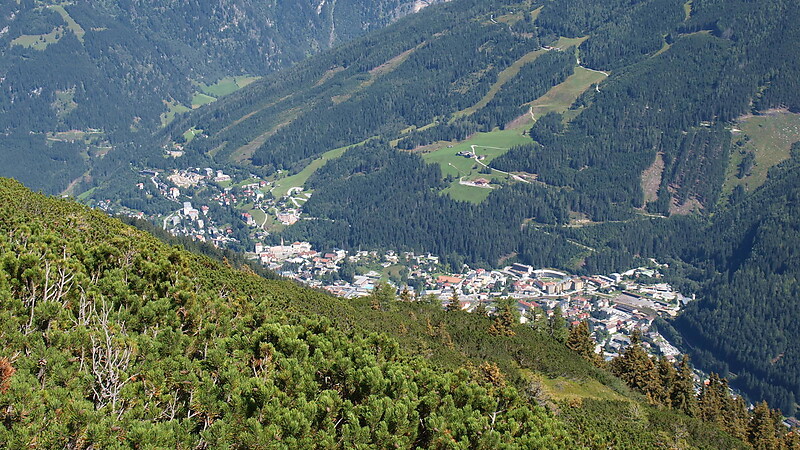 Kort