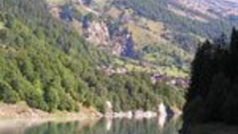 Kort